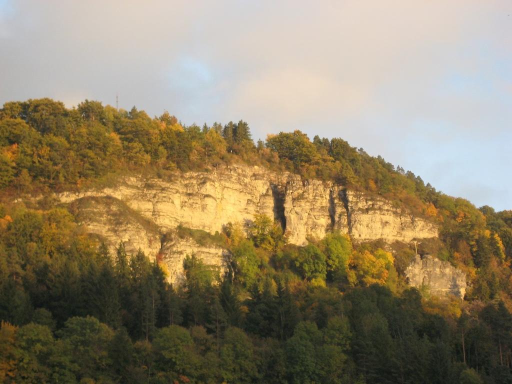 Gaestehaus Krone Oberndorf am Neckar Quarto foto