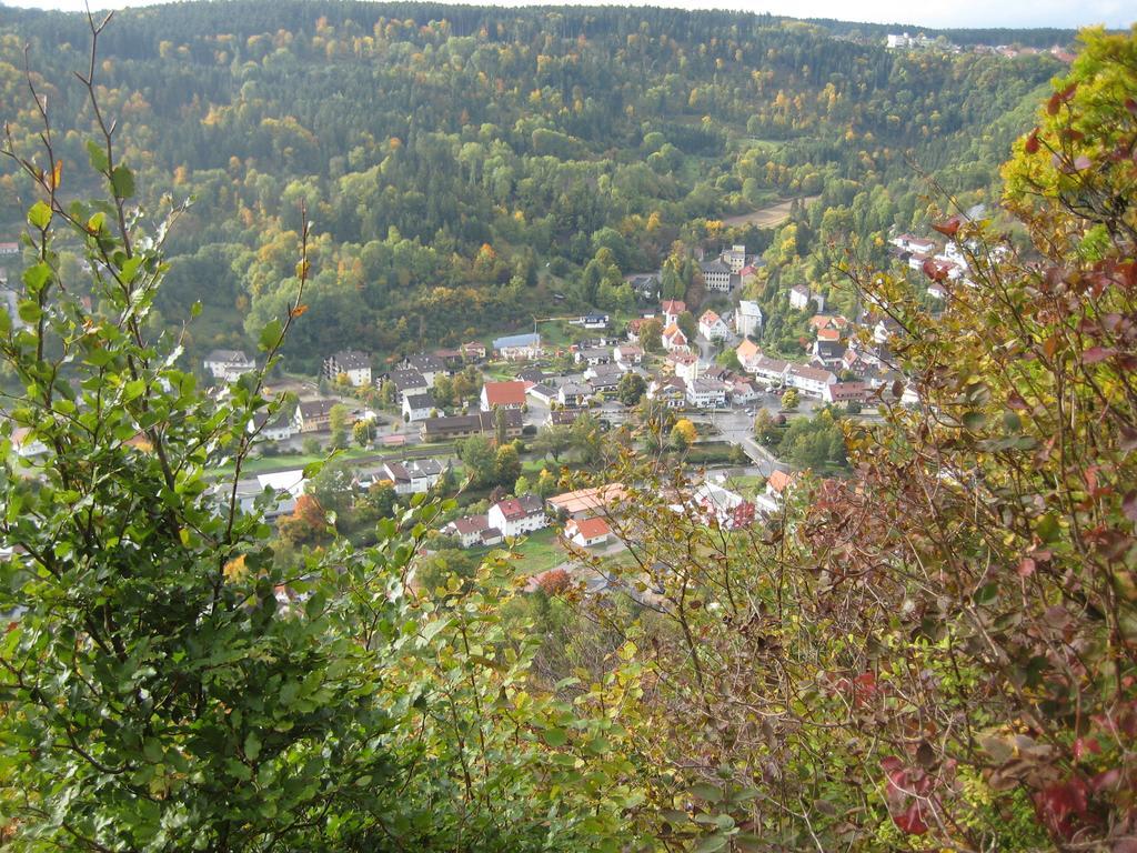 Gaestehaus Krone Oberndorf am Neckar Quarto foto